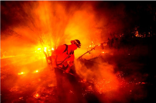Ой хээрийн түймрийн улмаас АНУ-д онц байдал зарлалаа
